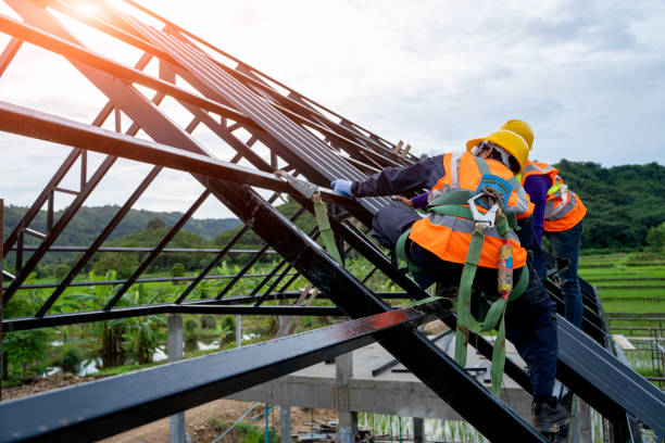 Best Flat Roof Repair Services  in Halls, TN