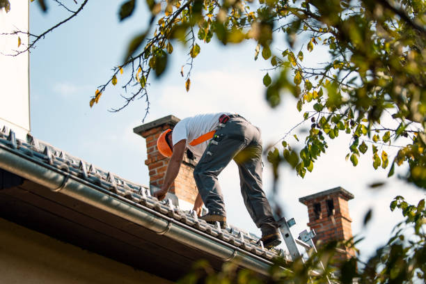 Best Tile Roofing Contractor  in Halls, TN