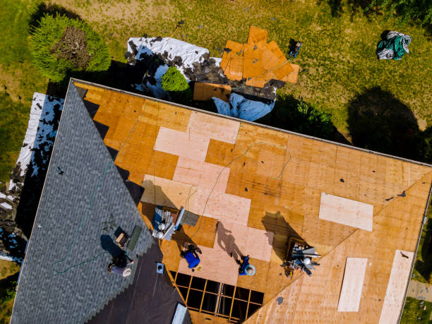 Best Commercial Roofing Services  in Halls, TN