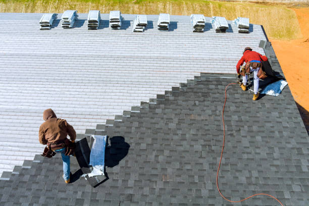 Best Metal Roofing Contractor  in Halls, TN