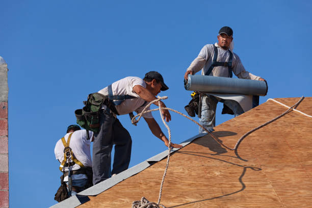 Best Tile Roofing Contractor  in Halls, TN