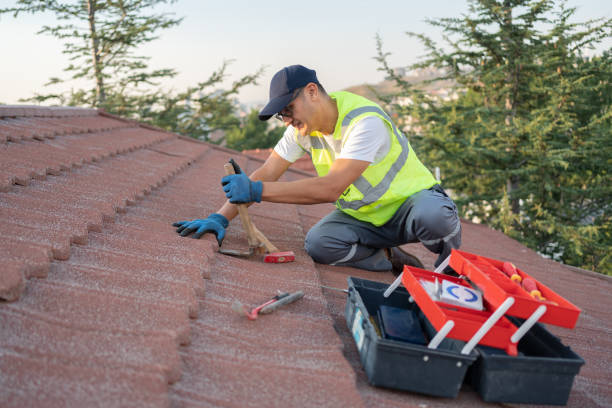 Best New Roof Installation  in Halls, TN