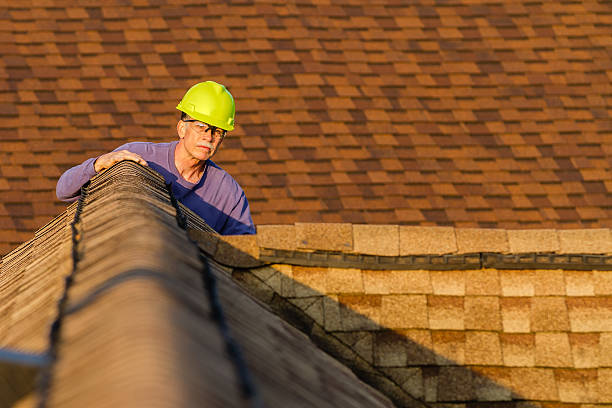 Best Roof Maintenance Services  in Halls, TN