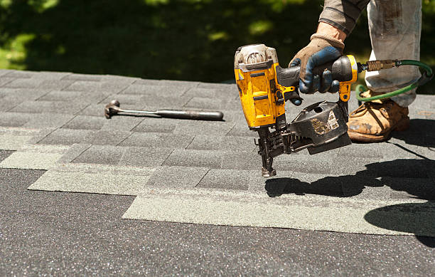 Best Shingle Roofing Installation  in Halls, TN