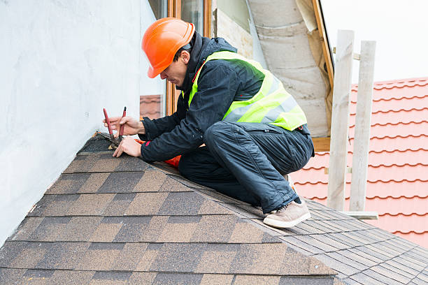 Best Roof Repair Specialists  in Halls, TN