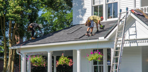 Best New Roof Installation  in Halls, TN