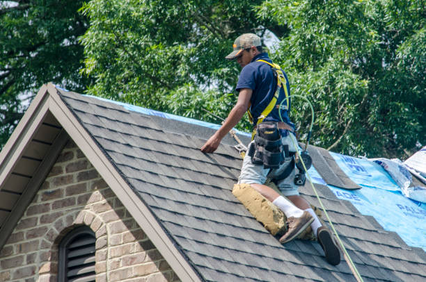Best Residential Roofing Contractor  in Halls, TN